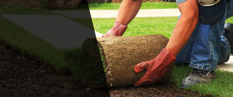 Reserve Landscapers